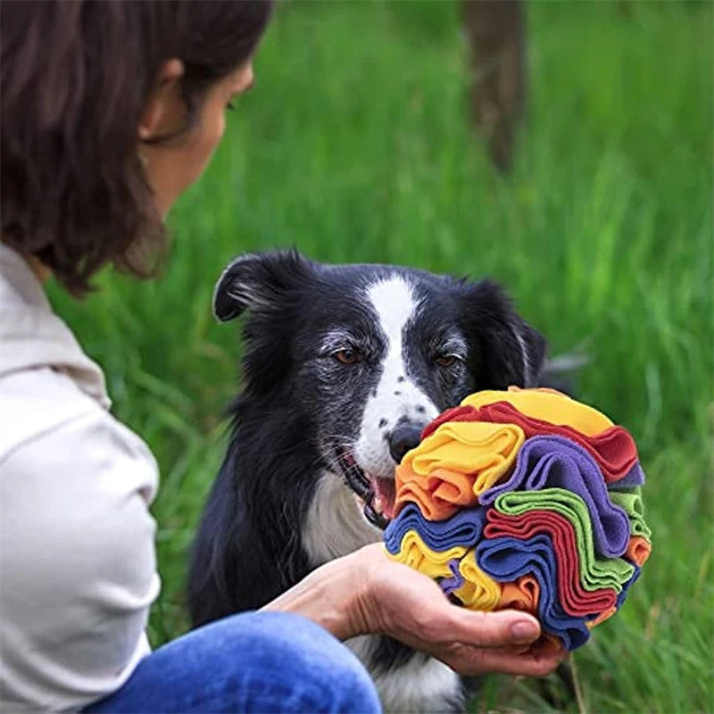 Dog Snuffle Ball Mat Sniffing Training Blanket Detachable Pads Puzzle Interactive Toy for Dogs Cats Pet Educational Supplies